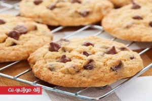 12313830_1193935460621438_5160593390290585170_n