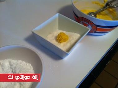 غريبة-معلكة-7