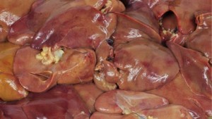 f187a23c3ee681ef6913f31fd6d6446b