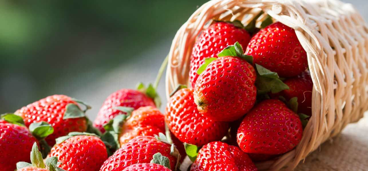 15-Best-Sources-Of-Antioxidants1