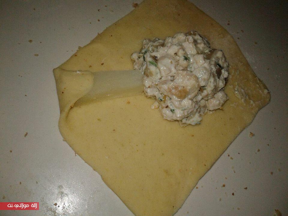 فخيدات الدجاج الكدابة