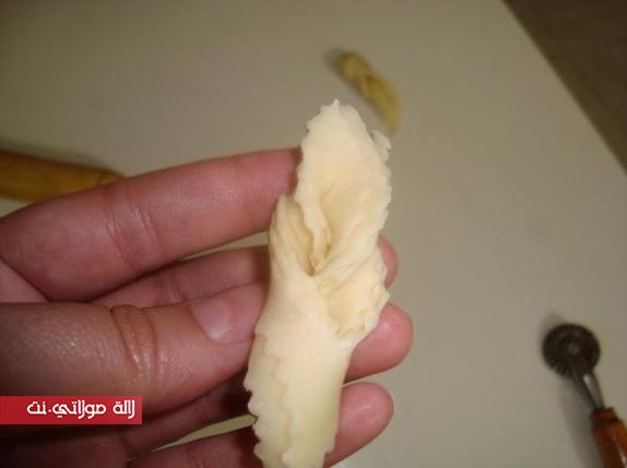 lalamoulati-net-73925_8eQ10937