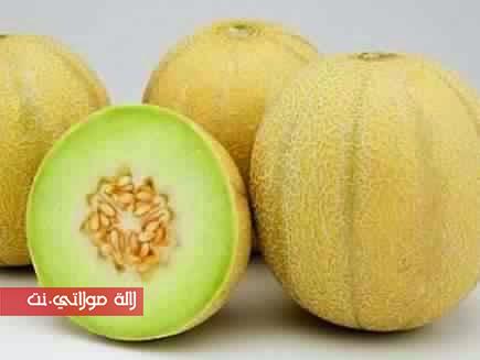 البطيخ الأصفر