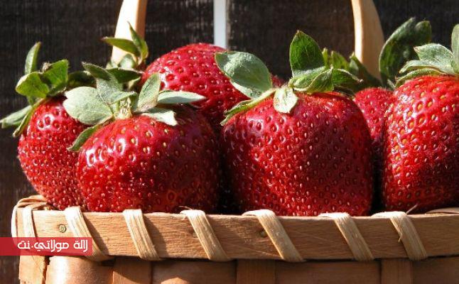 الفرولة دواء وغذاء