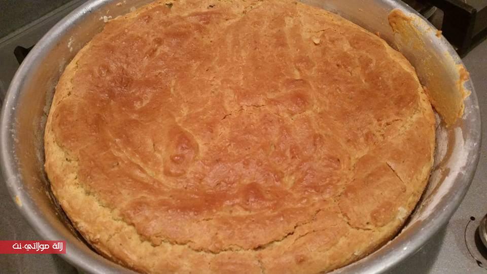 12118686_523003061188325_25783053097325004_n