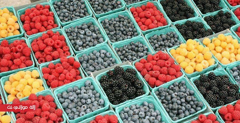 أنواع التوت وفوائده الكثيرة Lalamoulati Net