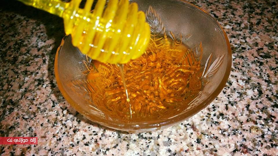 13094410_1108440555875372_5743298312753692168_n