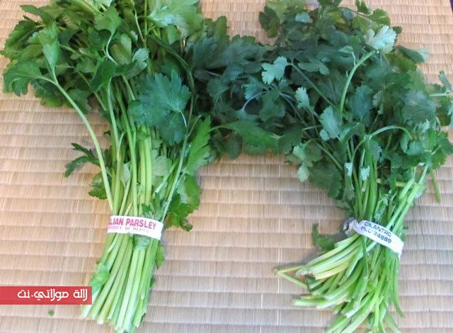 البقدونس للتخسيس