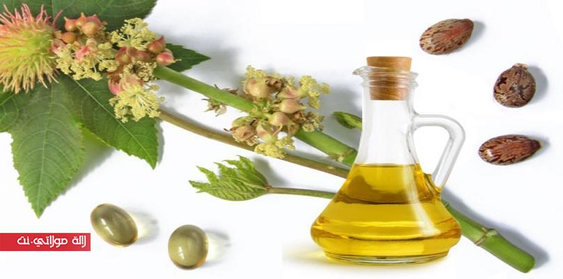 ماذا تعرفي عن زيت الخروع، اكتشفي معنا منافعه