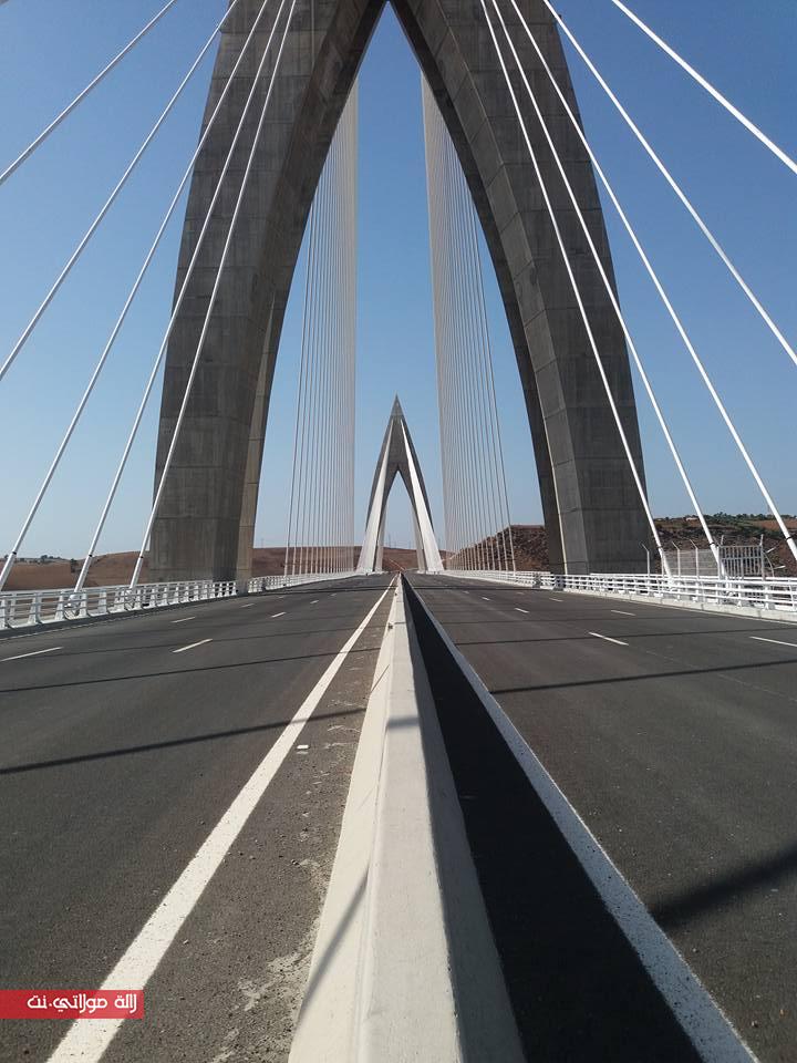 FILE-20160707-1534L4P429CQ9RXH