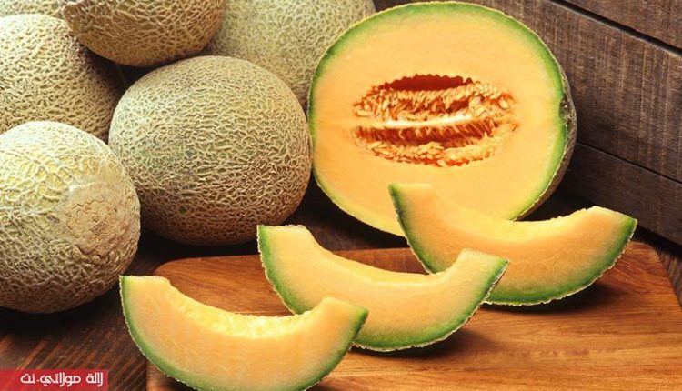 فوائد الشمام للجسم ومرضى القلب