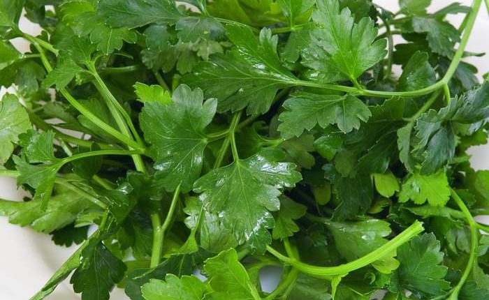 فوائد البقدونس لصحة الكلي