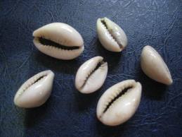 وصفات الدكتور جمال الصقلي لتبييض الوجه و ازالة البقع