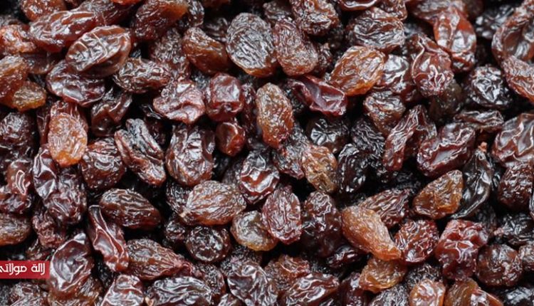 https://www.lalamoulati.net/wp-content/uploads/2016/09/raisins-secs.jpg
