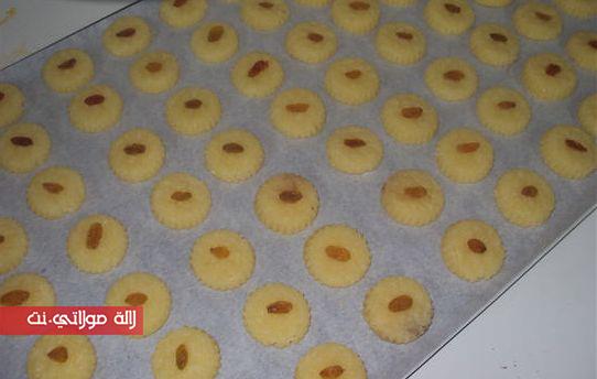 424236_232923110132809_1971092101_n