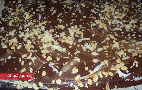 425548_232923326799454_2115705787_n