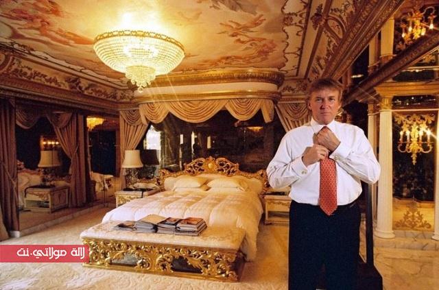 1478764344-481856-inarticlelarge