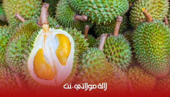 Résultat de recherche d