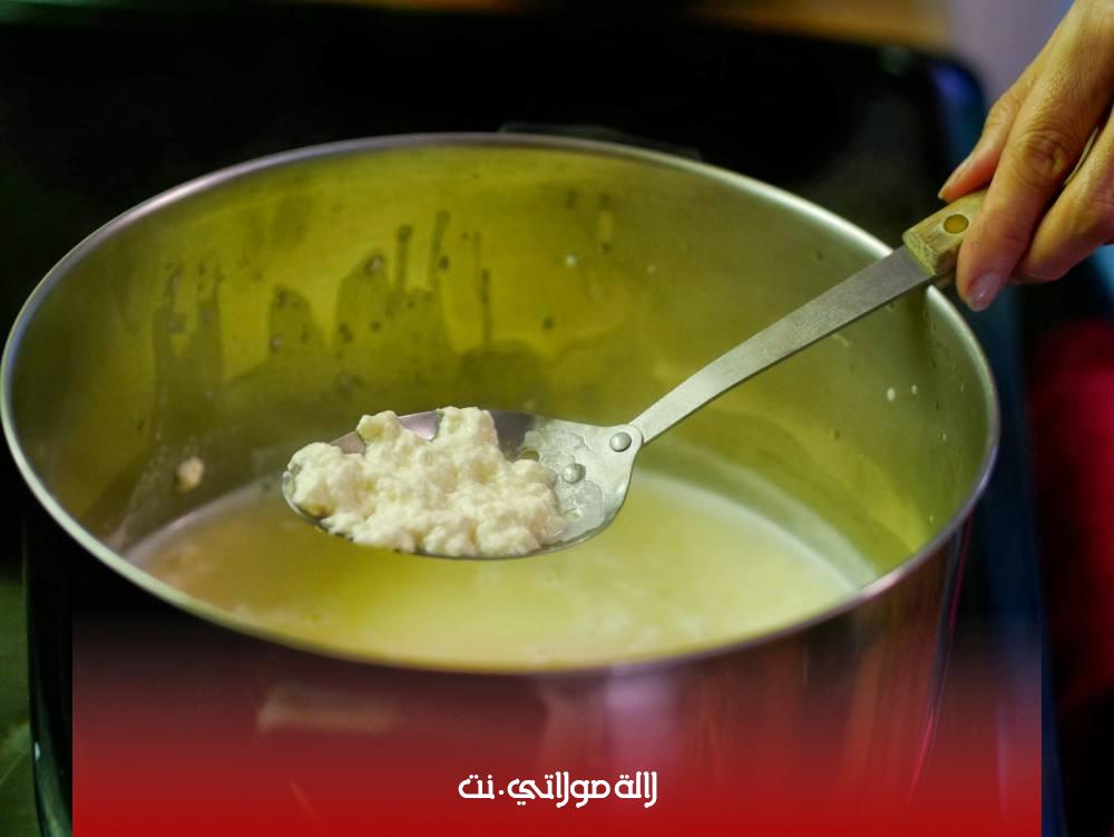 الجبنة الموزاريلا 