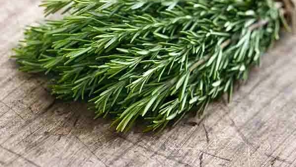 Résultat de recherche d