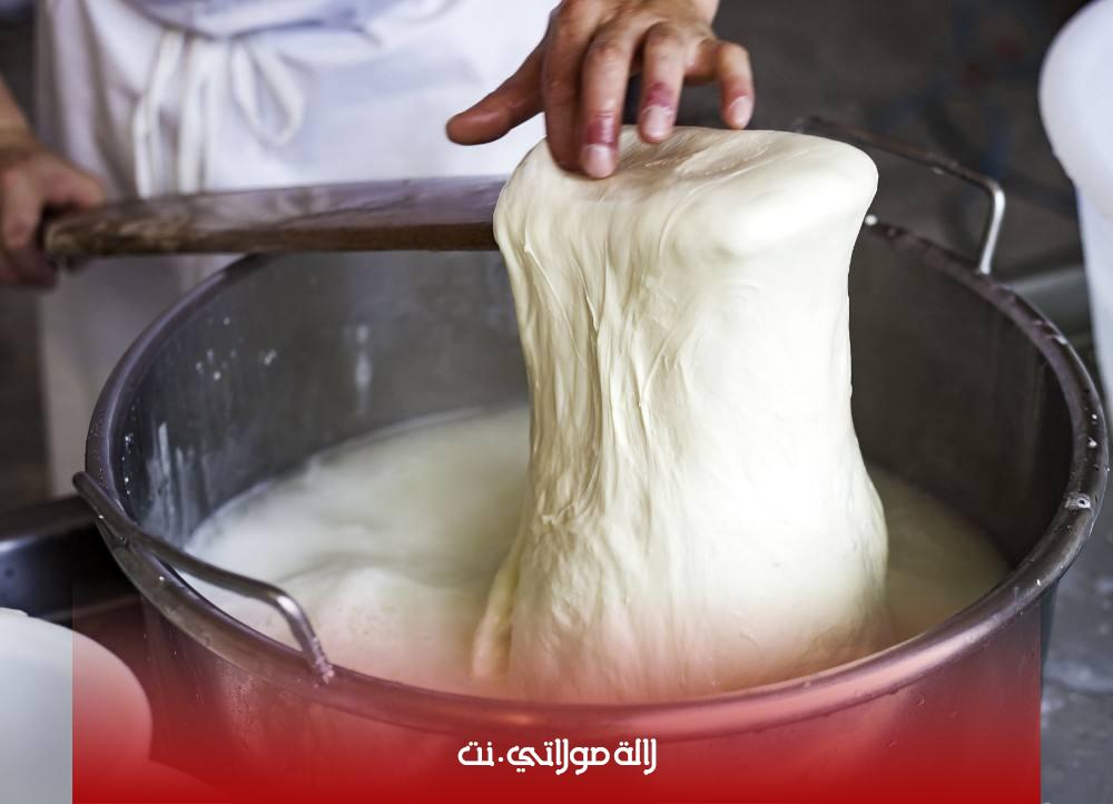 الجبنة الموزاريلا