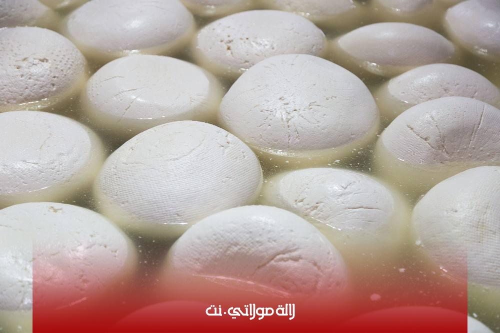 الجبنة الموزاريلا