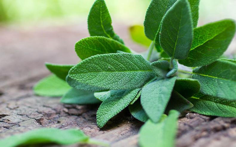 Résultat de recherche d