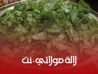 رغايف بالسبانخ والكرفيت شهوة منهم والطريقة بالتفصيل الممل رغايف بالسبانخ والكرفيت شهوة منهم والطريقة بالتفصيل الممل