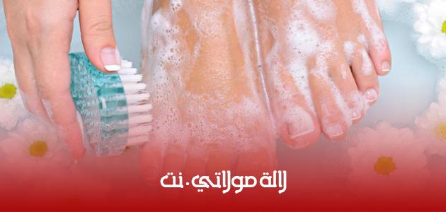 ÙØªÙØ¬Ø© Ø¨Ø­Ø« Ø§ÙØµÙØ± Ø¹Ù Ø§ÙØ¹ÙØ§ÙØ© Ø¨Ø¬ÙØ§Ù Ø§ÙÙØ¯ÙÙÙ