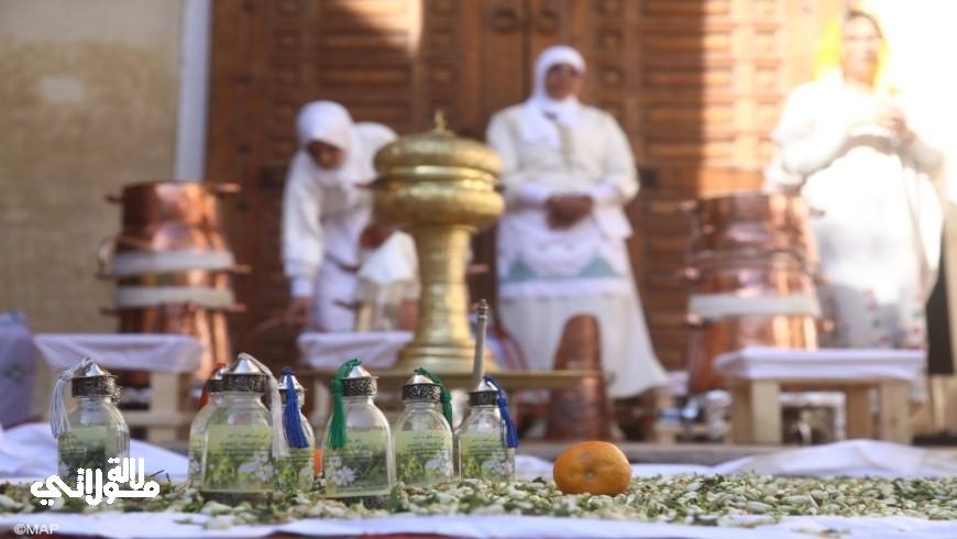 تقطير الزهر في مراكش إرث عريق من عبق التاريخ إلى حضور عالمي في المعارض الدولية